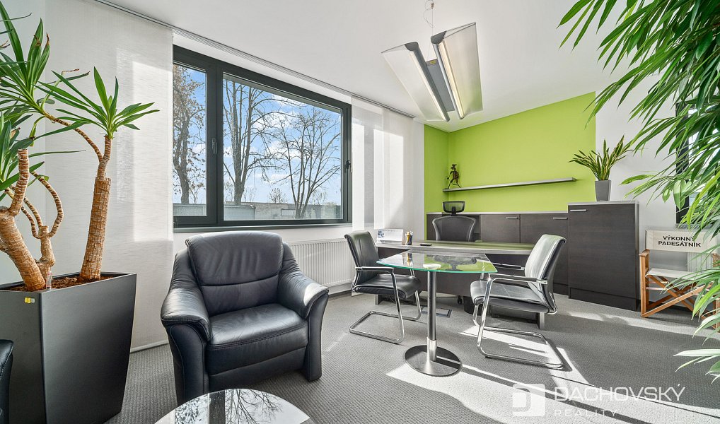 Prodej obchodních prostor 374 m², Pardubice – náhled fotky 19