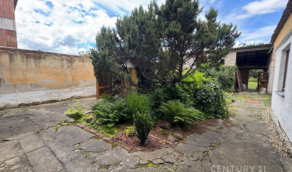 Prodej domu 160 m² s pozemkem 1 666 m², Vrchoslavice – náhled fotky 11