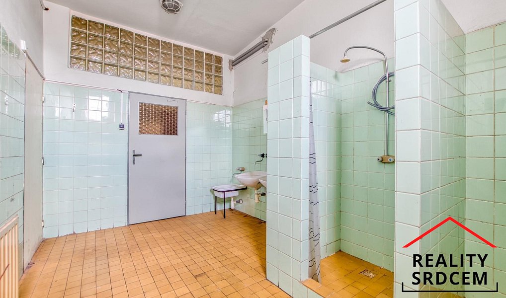 Pronájem výrobních prostor 1 566 m², Frýdek-Místek – náhled fotky 24