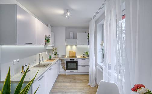 Pronájem bytu 3+1 60 m², Vinohradská, Litvínov - Horní Litvínov, okres Most