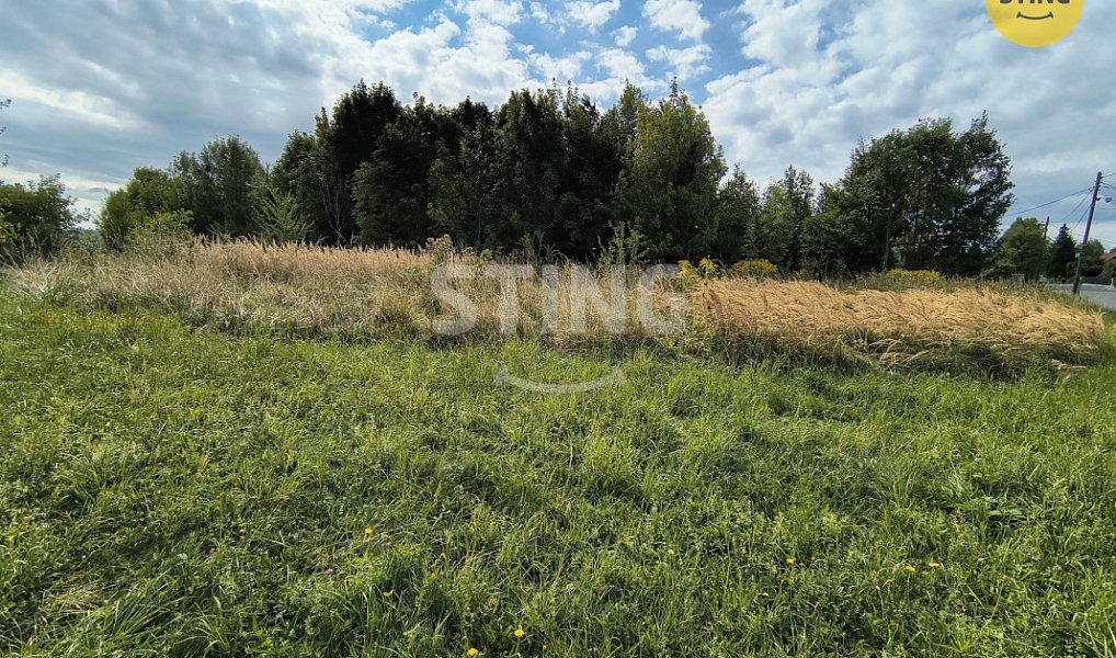 Prodej stavebního pozemku 5 732 m², Třinec – náhled fotky 4