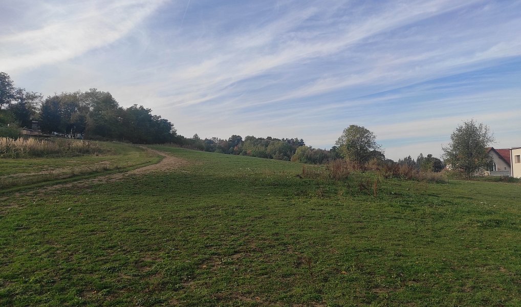 Pronájem zahrady 10 000 m², Mnichovice – náhled fotky 3