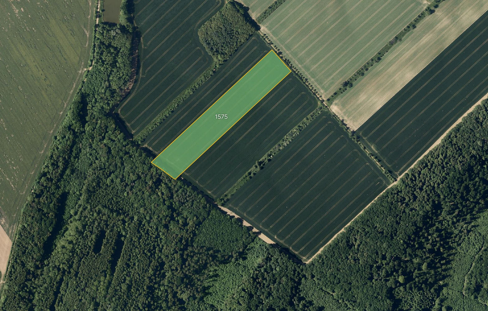 Prodej pole 29 548 m²