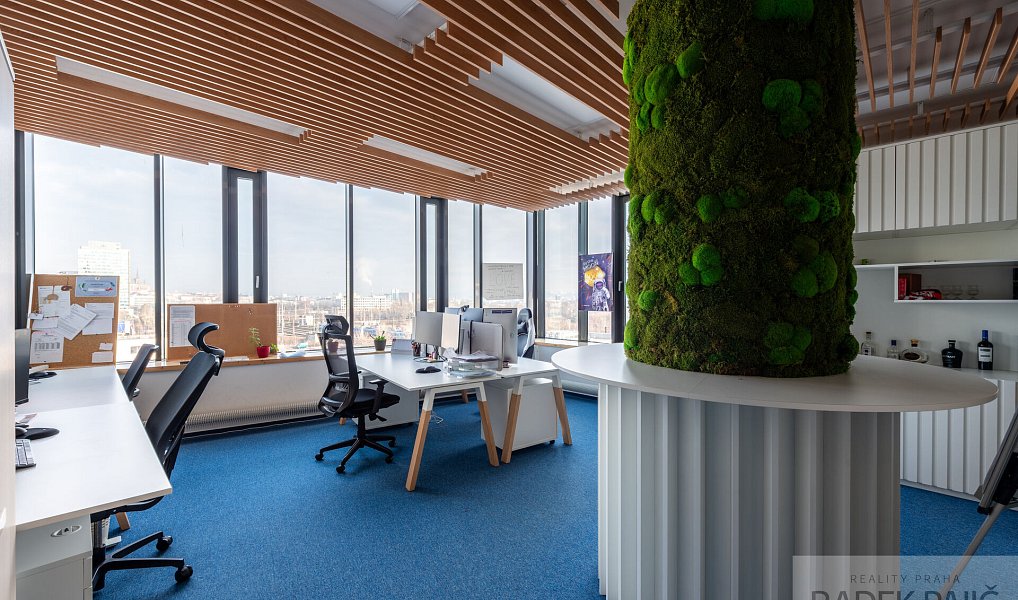 Prodej kanceláře 320 m², Brno – náhled fotky 2
