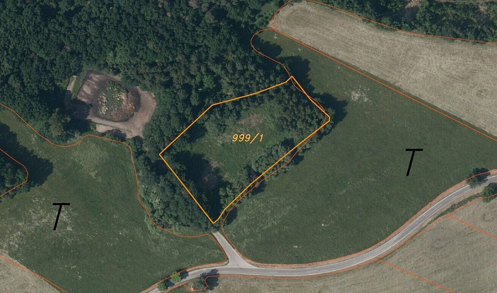 Prodej louky 6 751 m², Nové Hrady – náhled fotky 5