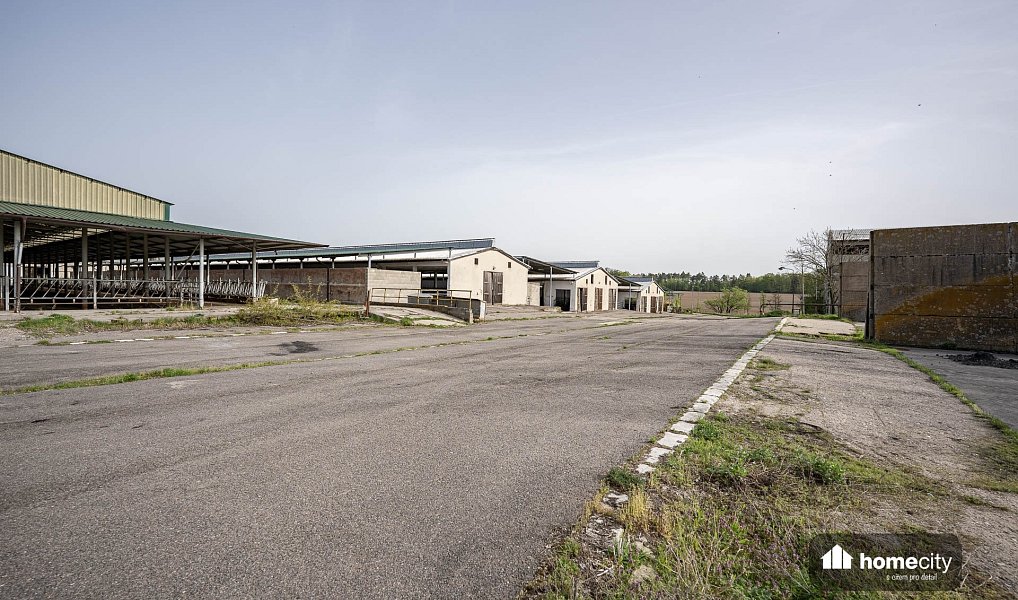 Prodej zemědělského objektu 38 087 m², Sovolusky – náhled fotky 12