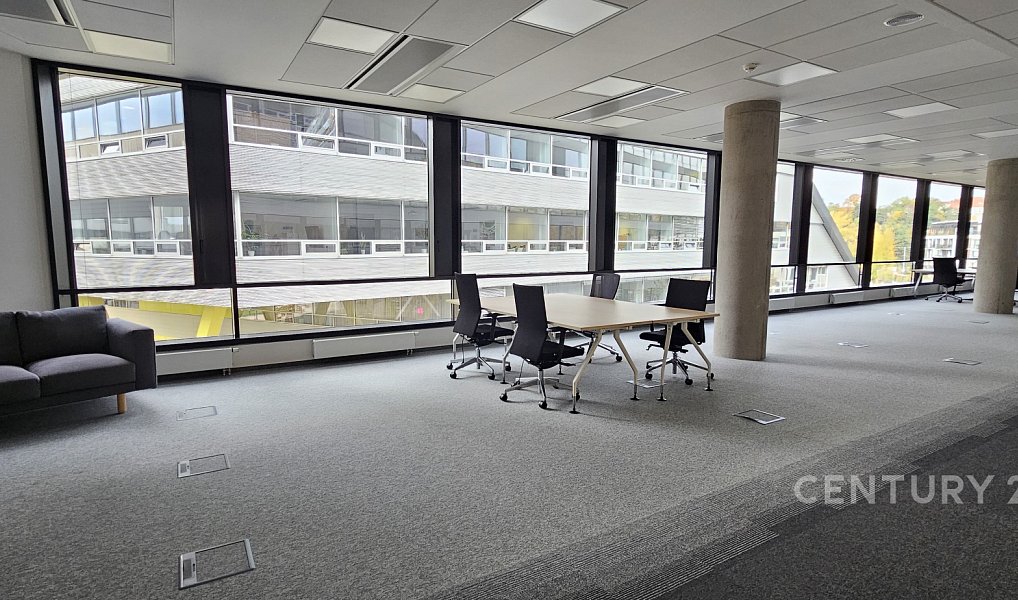 Pronájem kanceláře 439 m², Praha – náhled fotky 3