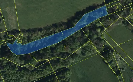 Prodej lesa 5 193 m², Vělopolí - Horní Bříza