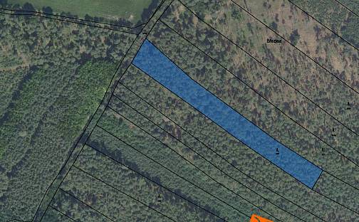 Prodej lesa 225 m², Sokoleč, okres Nymburk