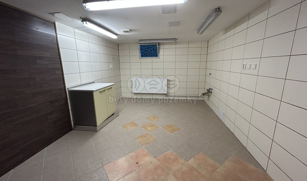 Pronájem obchodních prostor 31 m², Louny – náhled fotky 3
