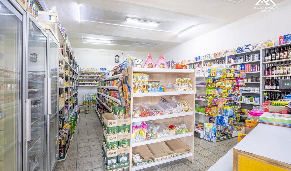 Prodej domu 580 m² s pozemkem 997 m², Skuteč – náhled fotky 4