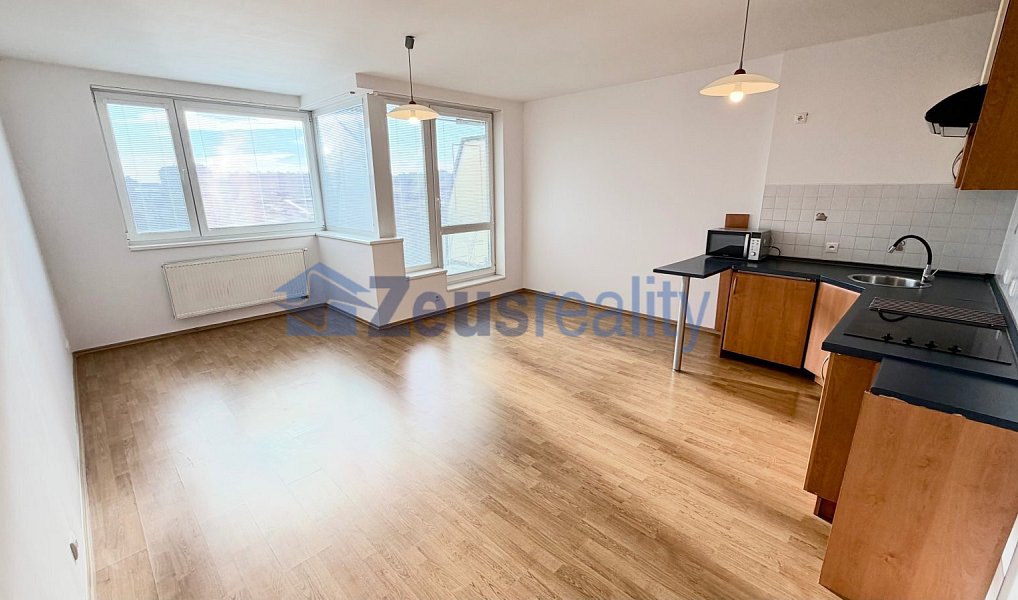 Pronájem bytu 1+kk 44 m², Praha – náhled fotky 5