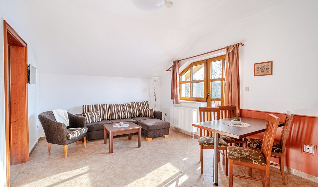 Prodej ubytovacího objektu 566 m², Nová Pec – náhled fotky 24