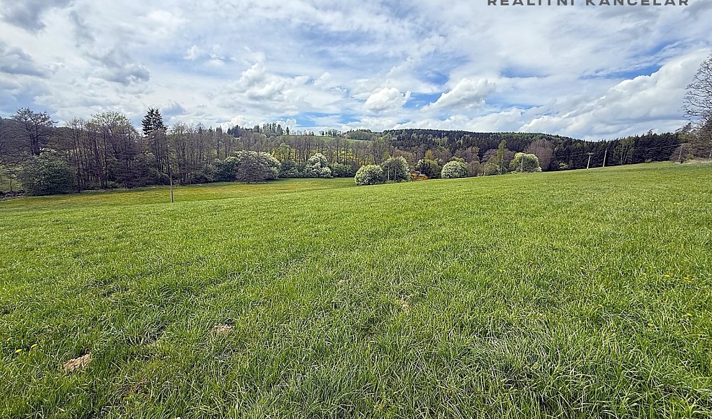 Prodej louky 17 174 m², Březiny – náhled fotky 6