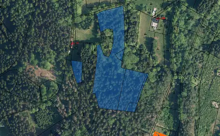 Prodej lesa 1 653 m², Jablonec nad Jizerou, okres Semily