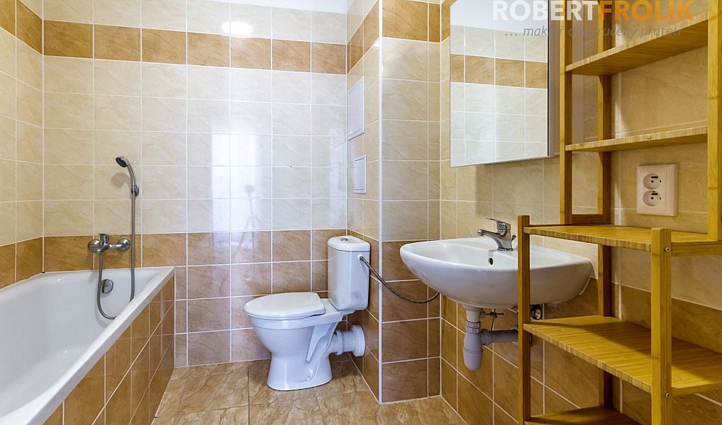 Pronájem bytu 1+kk 30 m², Svémyslice – náhled fotky 11