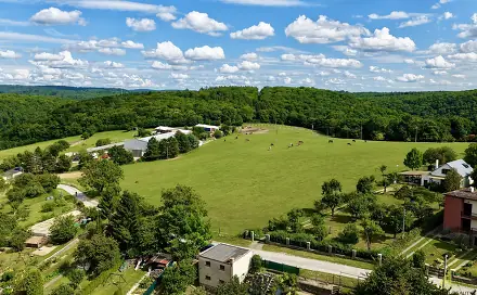 Prodej stavebního pozemku 5 845 m², Stará cesta, Ochoz u Brna, okres Brno-venkov