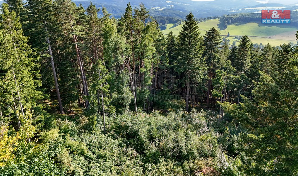 Prodej lesa 15 707 m², Petrovice u Sušice – náhled fotky 26