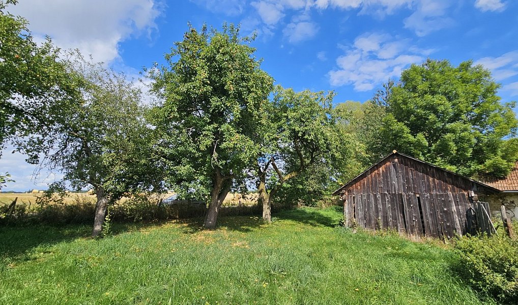 Prodej chaty/chalupy 100 m² s pozemkem 775 m², Mnich – náhled fotky 6