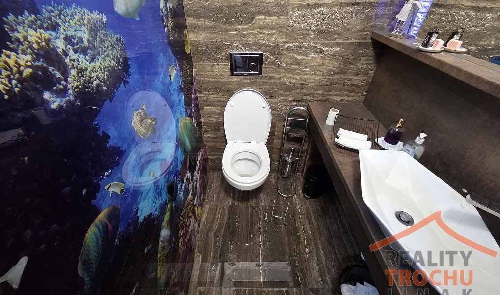 Prodej domu 390 m² s pozemkem 2 700 m², Meziměstí – náhled fotky 7