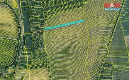 Prodej pole 1 585 m², Kyjov, okres Hodonín
