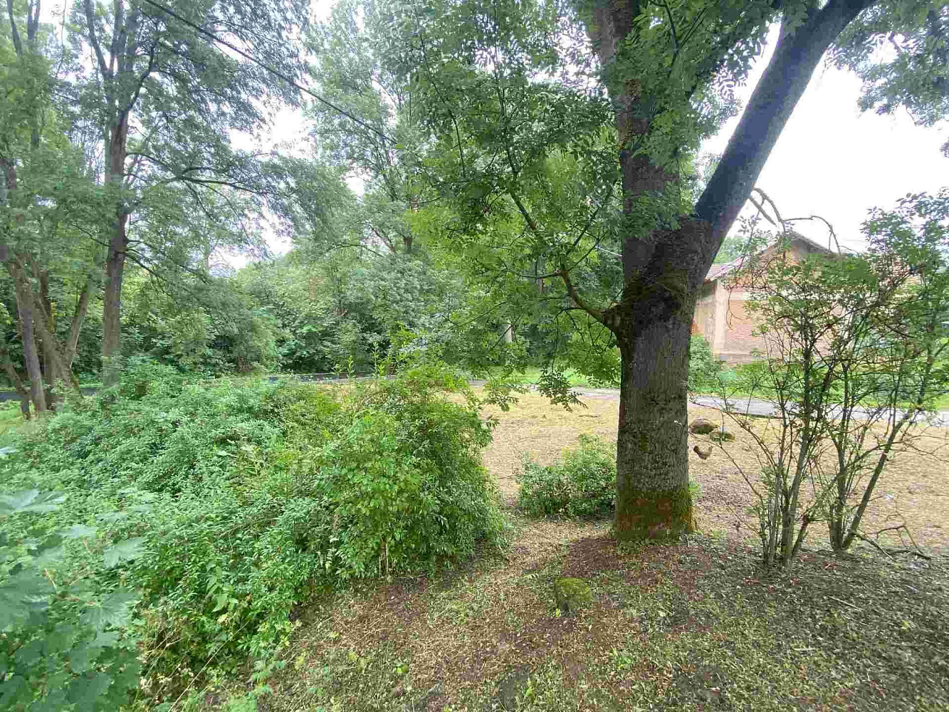Prodej pozemku 1 993 m² – fotografie 4