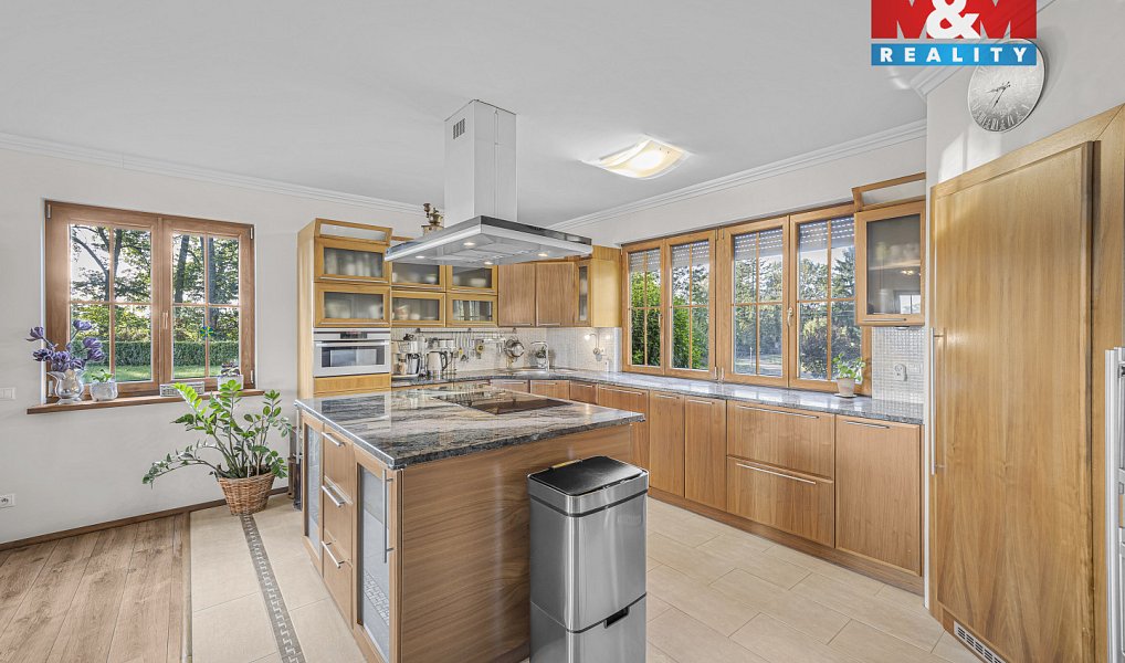Prodej domu 360 m² s pozemkem 100 270 m², Kostomlaty nad Labem – náhled fotky 6