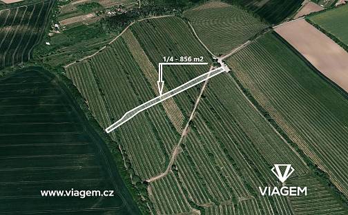 Prodej pole 856 m², Boršice, okres Uherské Hradiště
