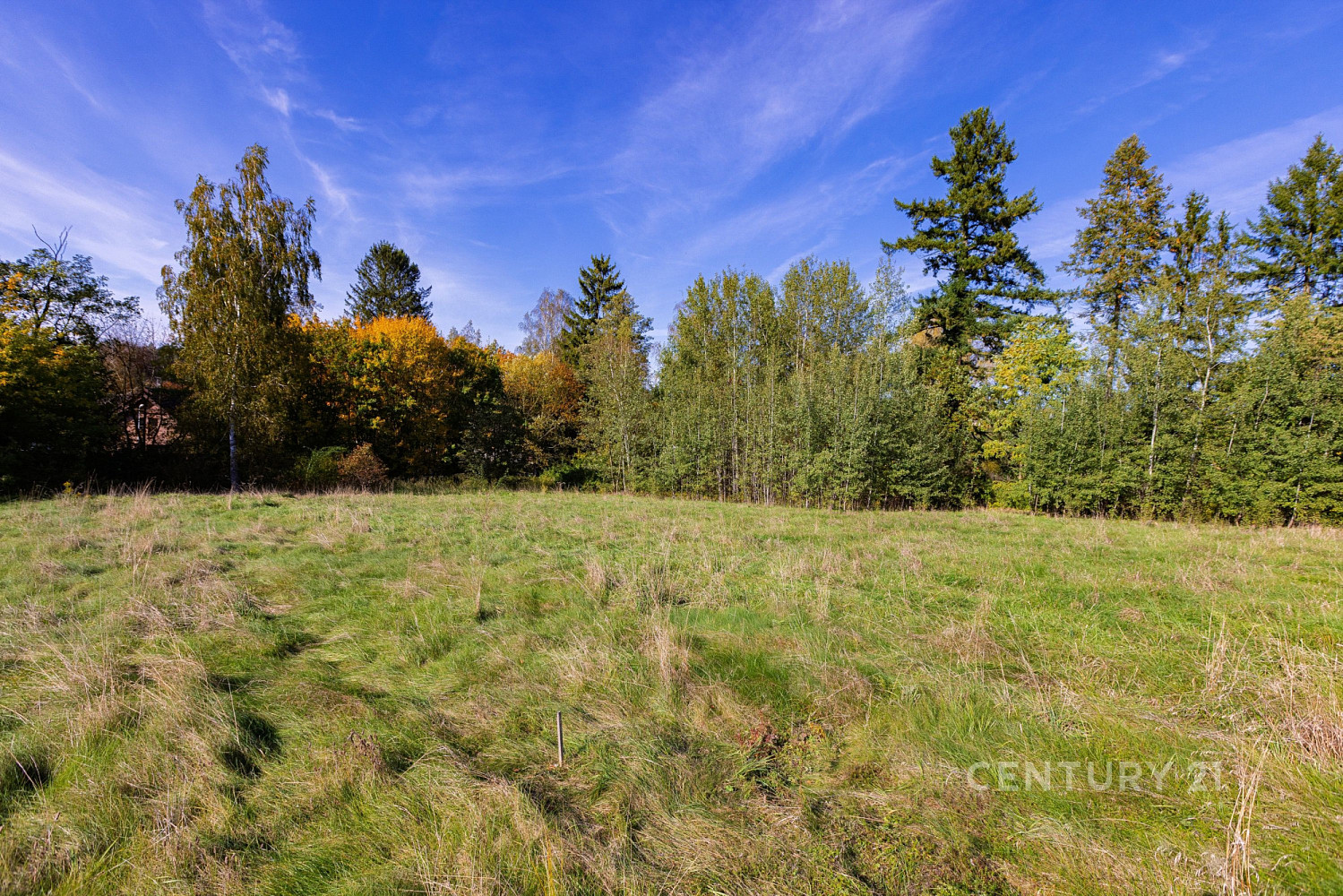 Prodej stavebního pozemku 2 511 m² – fotografie 4