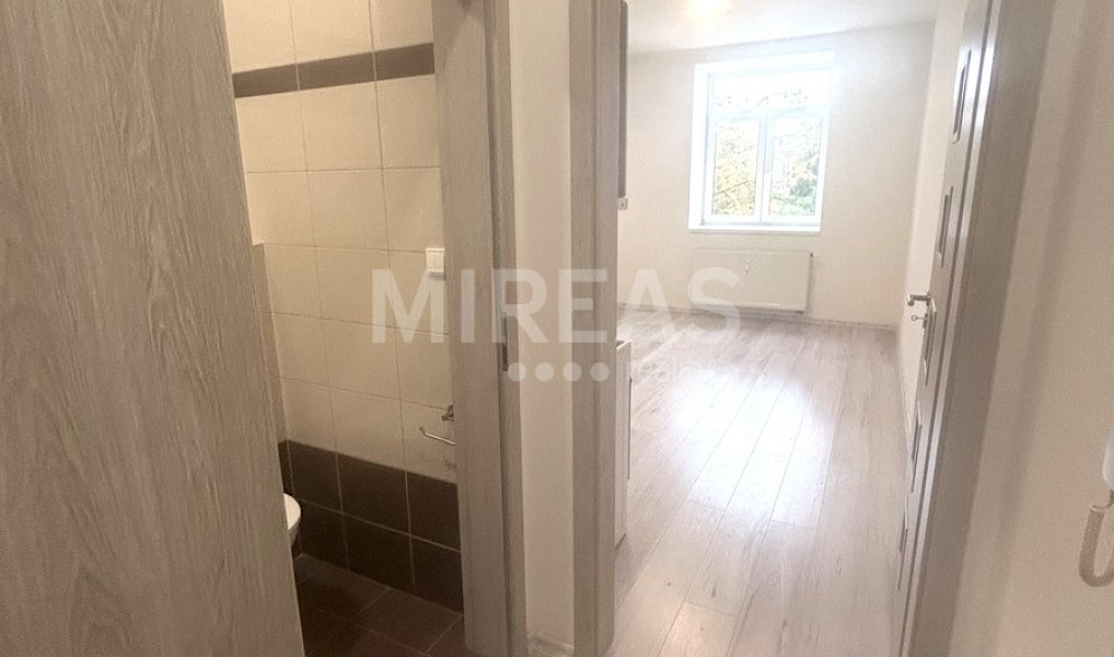 Pronájem bytu 1+kk 25 m², Milovice – náhled fotky 7