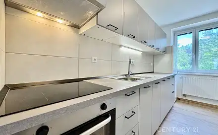 Pronájem bytu 1+1 40 m²