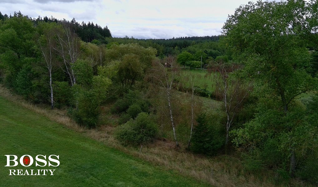 Prodej pole 12 452 m², Úněšov – náhled fotky 6