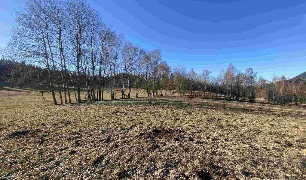 Prodej pozemku 11 266 m², Bernartice – náhled fotky 2