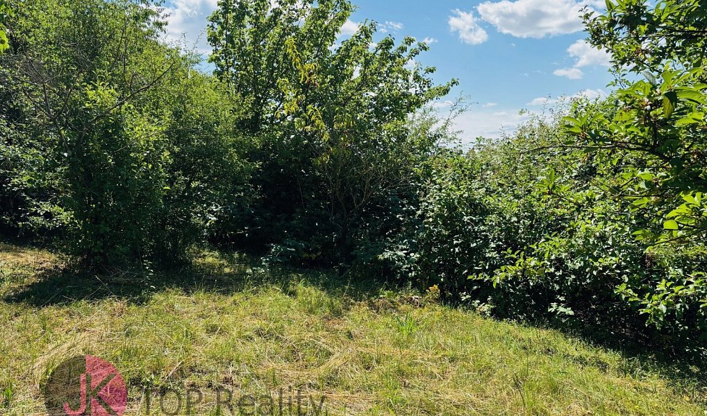 Prodej stavebního pozemku 723 m², Charvatce – náhled fotky 20