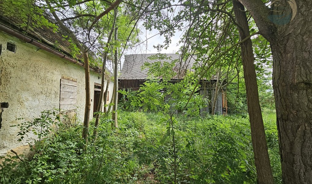 Prodej chaty/chalupy 150 m² s pozemkem 580 m², Staré Sedliště – náhled fotky 7