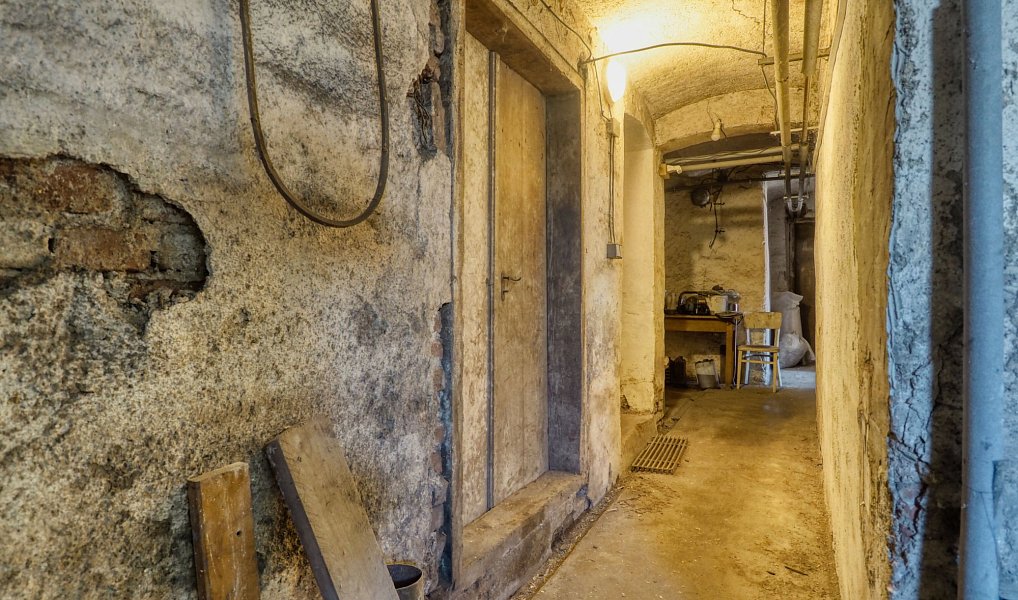 Prodej domu 292 m² s pozemkem 6 424 m², Oskava – náhled fotky 33