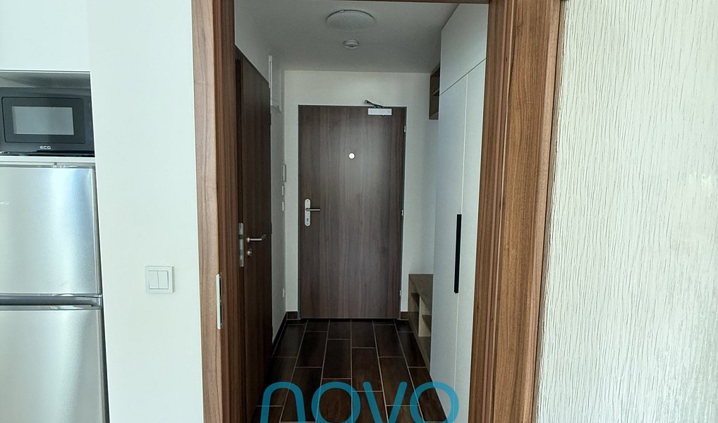 Pronájem bytu 1+kk 35 m², Praha – náhled fotky 6