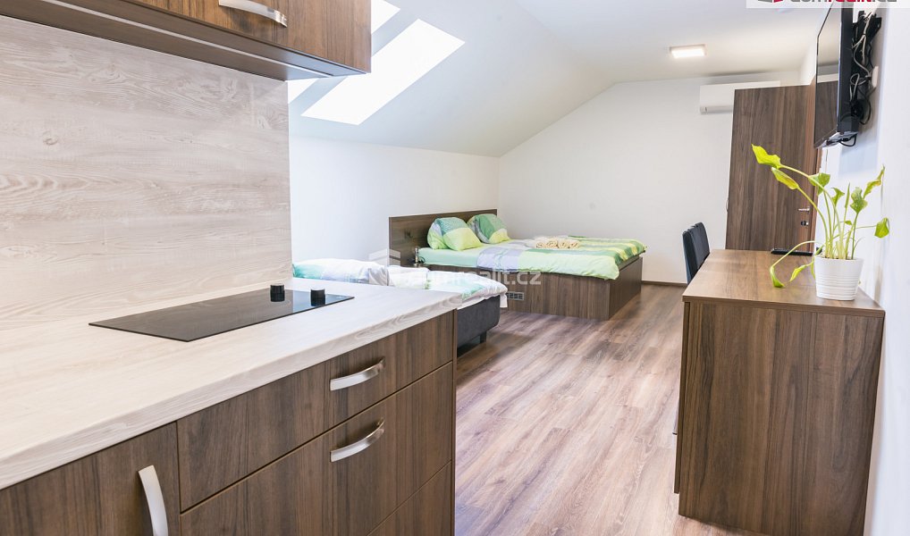 Prodej ubytovacího objektu 300 m², Lednice – náhled fotky 11