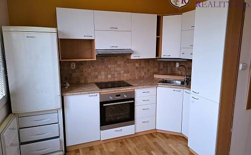 Pronájem bytu 2+1 47 m², Pražského povstání, Tábor