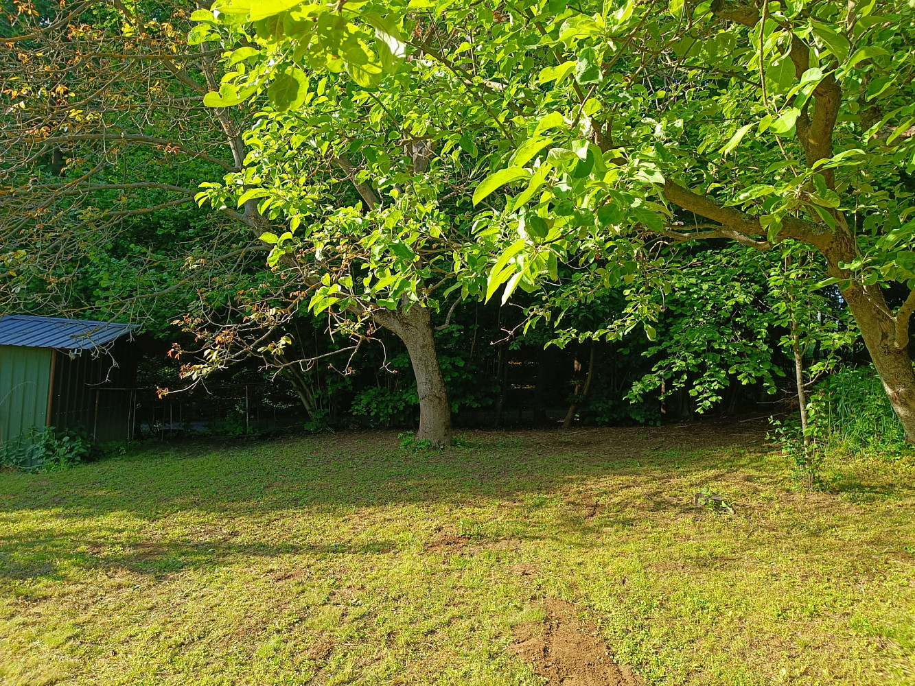 Prodej zahrady 692 m² — photo 2
