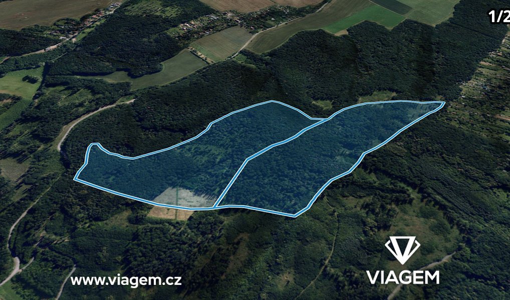 Prodej lesa 29 076 m², Troubsko – náhled fotky 2