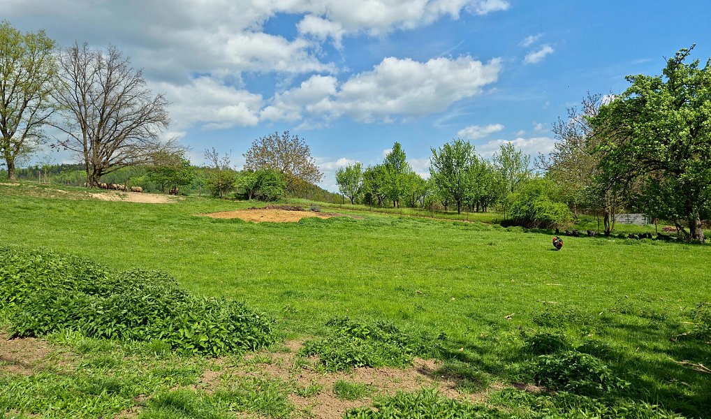 Prodej stavebního pozemku 1 384 m², Bělotín – náhled fotky 12
