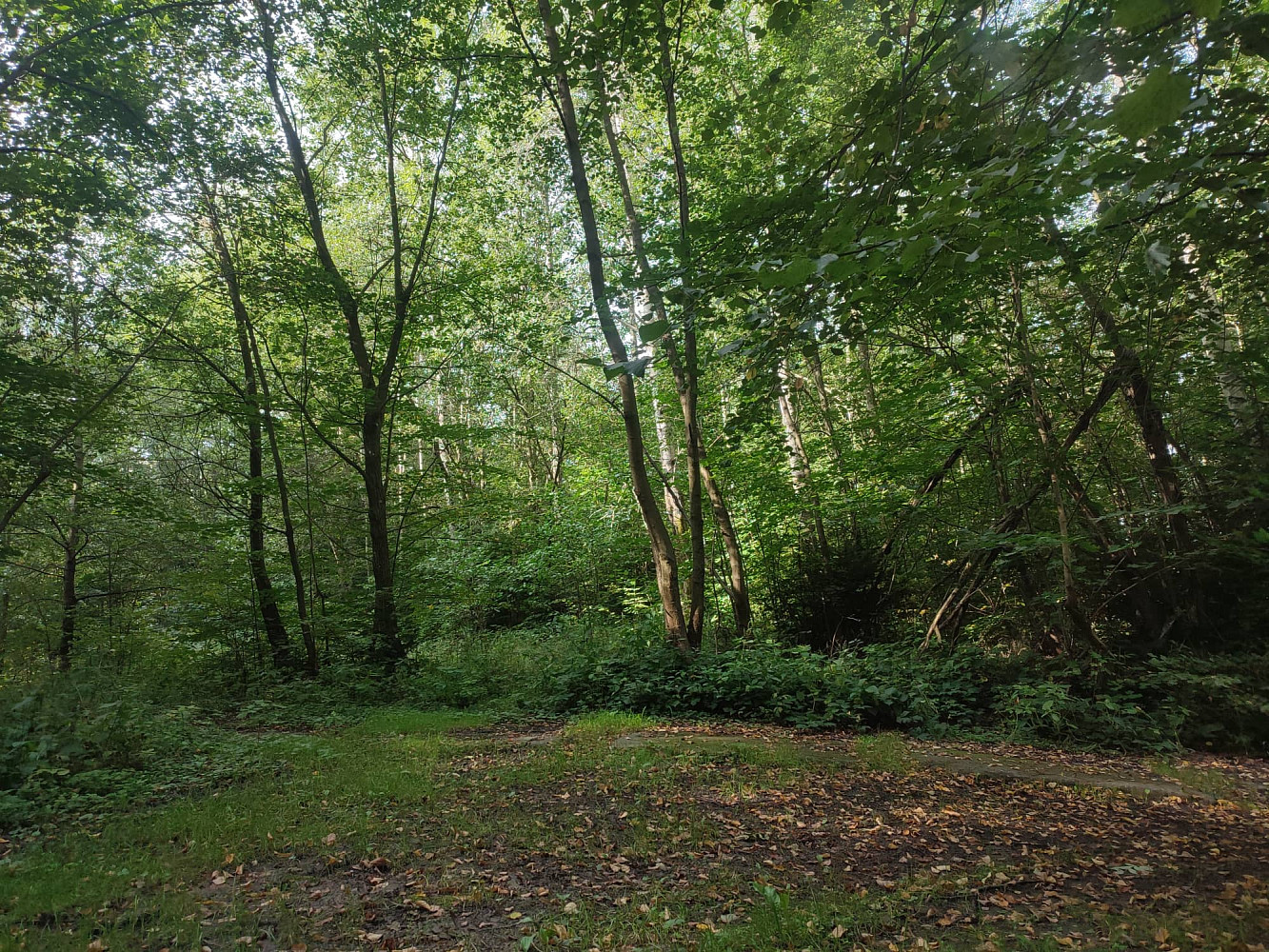 Prodej stavebního pozemku 406 m² – fotografie 3