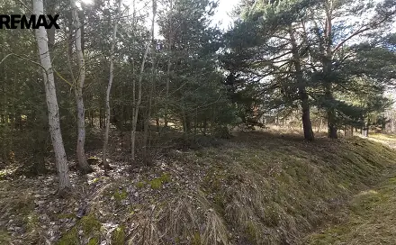 Prodej stavebního pozemku 1 249 m², Olešná, okres Písek