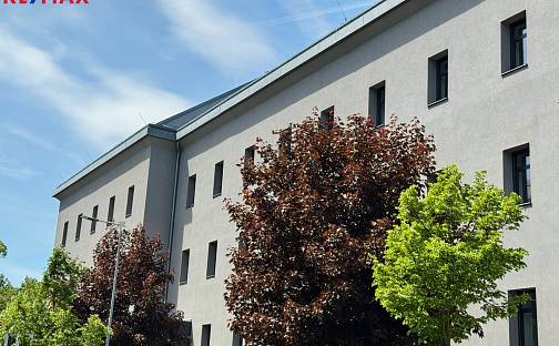 Pronájem kanceláře 65 m², Vladislavova, Písek - Pražské Předměstí