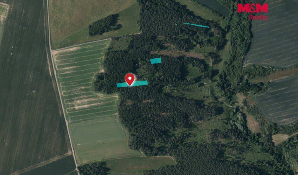 Prodej lesa 3 520 m², Břežany – náhled fotky 12