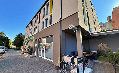 Pronájem bytu 1+kk 48 m², Janského, Olomouc - Povel