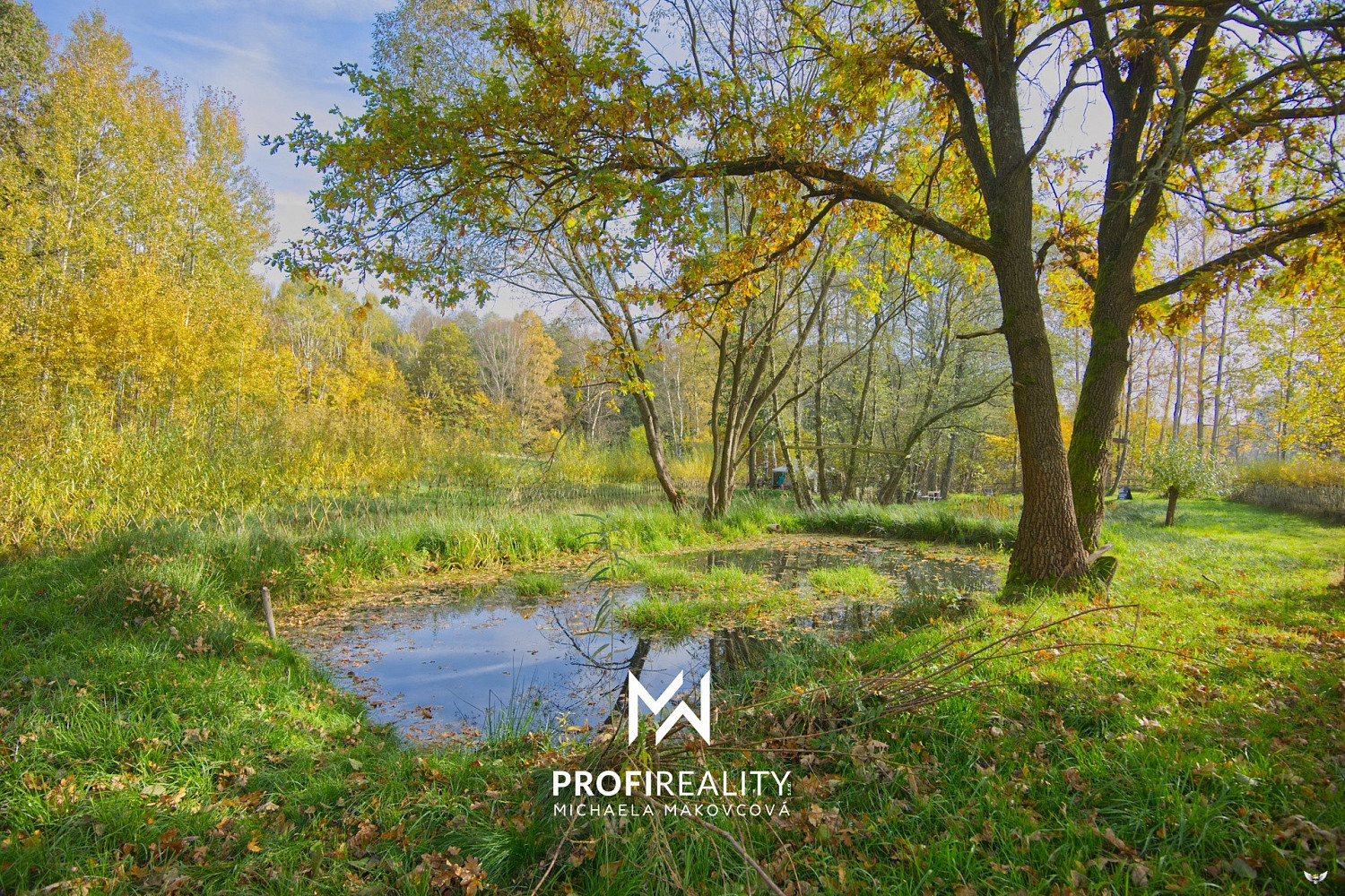 Prodej zahrady 1 603 m² - Widok 4