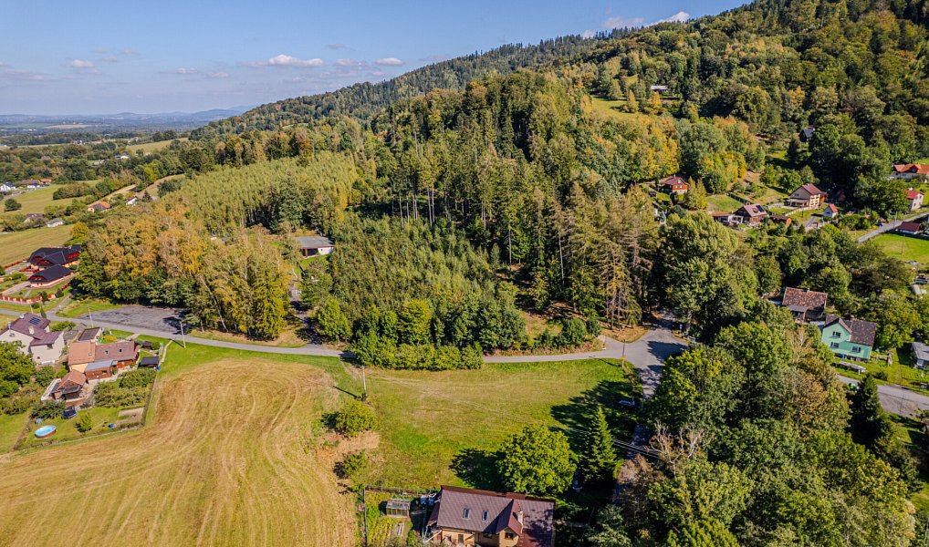 Prodej stavebního pozemku 2 695 m², Vyšní Lhoty – náhled fotky 5