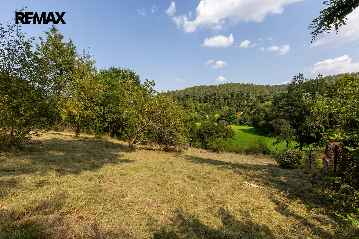 Prodej stavebního pozemku 1 234 m² – fotografie 3